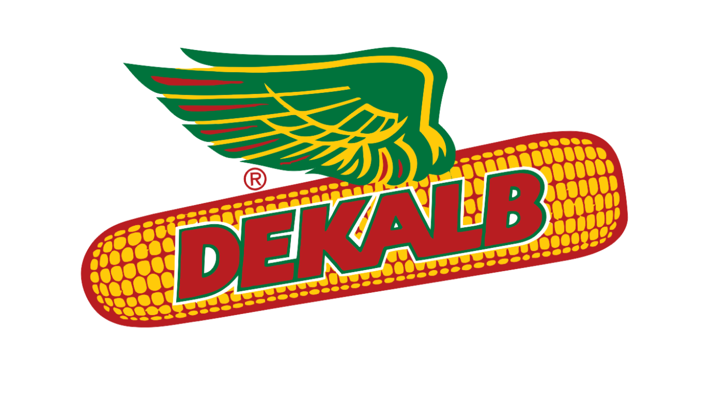 Nkadani Pamphlets (2)