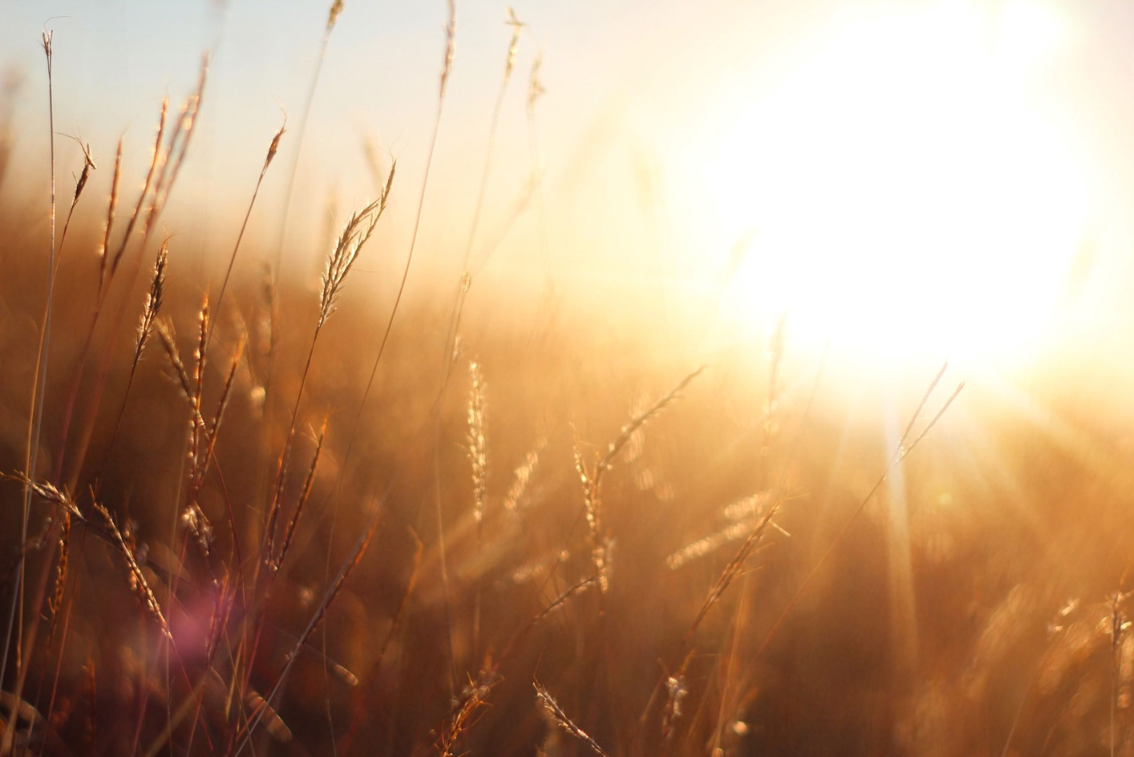 e113842db820bdafba1d712f9393dc05_fit