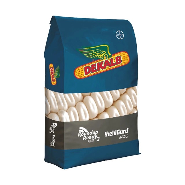 CORN_Blue_Bag_White_Corn_Dekalb_carousel_image_1 (1)