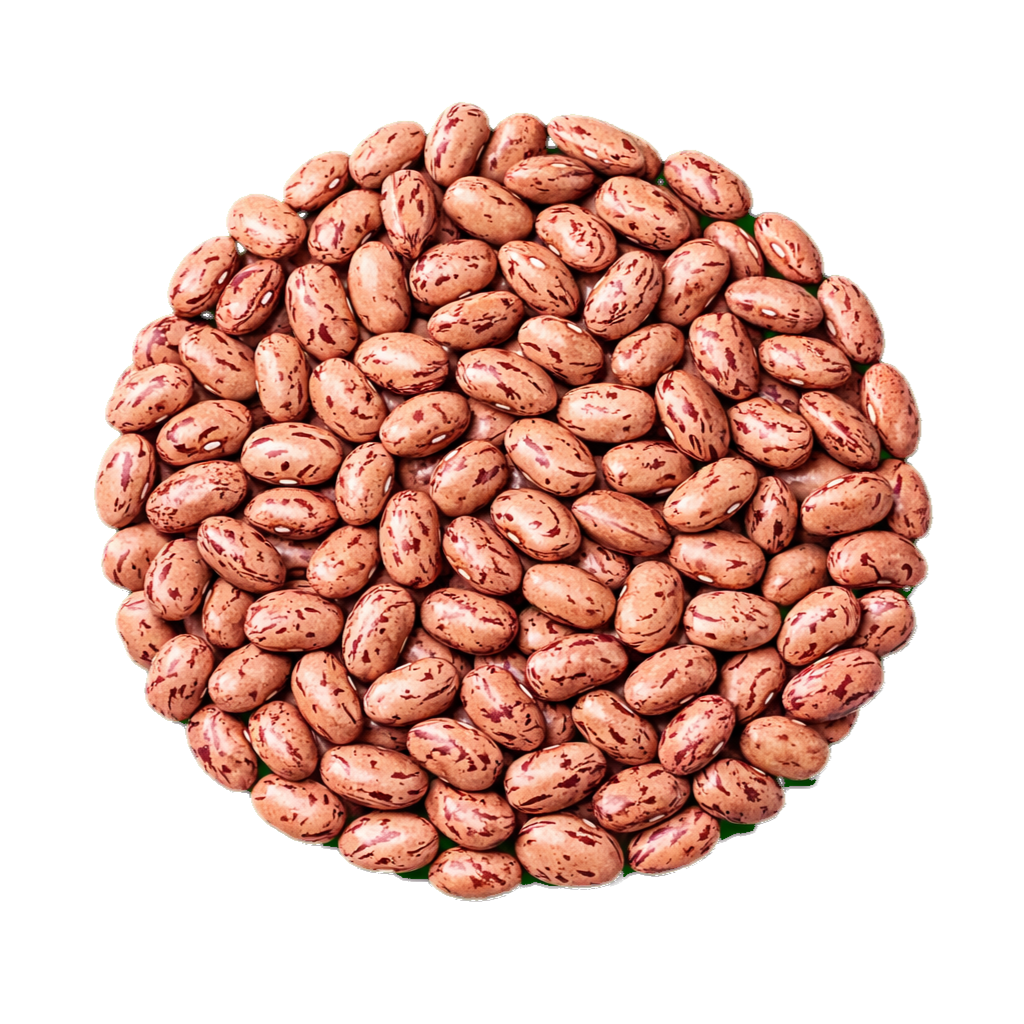 Dry Beans