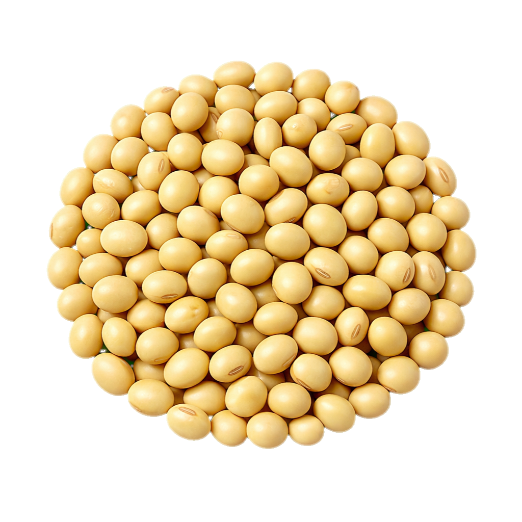 Soy Beans